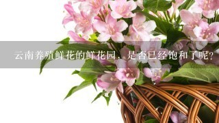 云南养殖鲜花的鲜花园，是否已经饱和了呢？