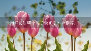 云南鲜花饼哪个牌子最正宗？求推荐。