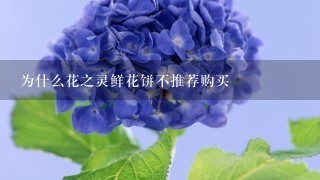 为什么花之灵鲜花饼不推荐购买