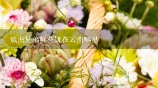 斌杰兄弟鲜花饼在云南哪里