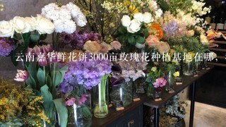 云南嘉华鲜花饼3000亩玫瑰花种植基地在哪，我在网上查了查大概在曲靖市马龙县，求具体位置，要离昆明