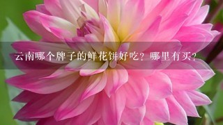 云南哪个牌子的鲜花饼好吃？哪里有买？