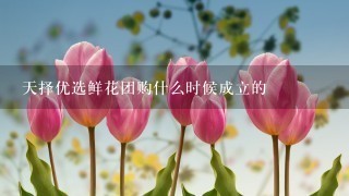 天择优选鲜花团购什么时候成立的