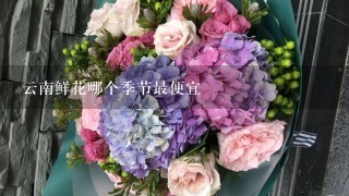 云南鲜花哪个季节最便宜