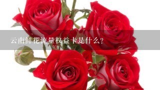 云南鲜花流量权益卡是什么？