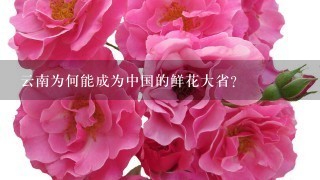 云南为何能成为中国的鲜花大省？