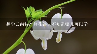 想学云南特产鲜花饼，不知道哪儿可以学