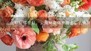 云南鲜花哪里好，云南鲜花哪里出名，云南鲜花哪里可以买得到。