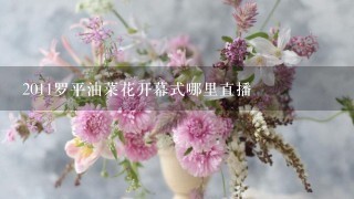 2011罗平油菜花开幕式哪里直播