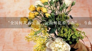 “全国鲜花看云南，云南鲜花看斗南”，斗南花市距昆明市区约18公里，是亚洲最大的鲜花交易市场，也是中国最大的花卉交易市场...