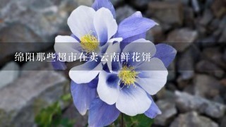 绵阳那些超市在卖云南鲜花饼