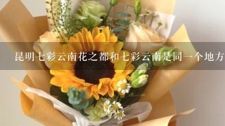 昆明7彩云南花之都和7彩云南是同1个地方吗