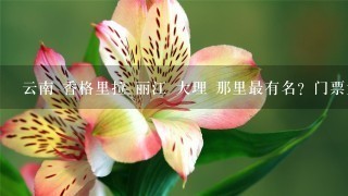 云南 香格里拉 丽江 大理 那里最有名？门票大概多少钱？ 自己开车去的 那位大哥 大姐 帮我把线路给我安排下！