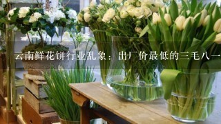 云南鲜花饼行业乱象：出厂价最低的3毛81个！影响