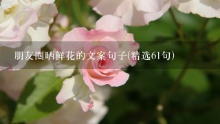 朋友圈晒鲜花的文案句子(精选61句)