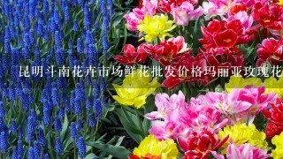 昆明斗南花卉市场鲜花批发价格玛丽亚玫瑰花多少钱每