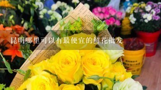 昆明哪里可以有最便宜的鲜花批发