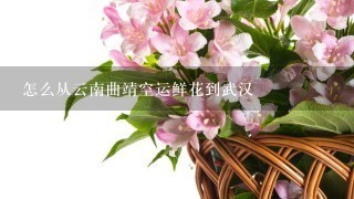 怎么从云南曲靖空运鲜花到武汉