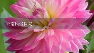 云南民俗探究