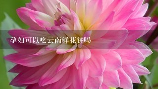 孕妇可以吃云南鲜花饼吗