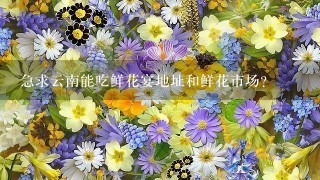 急求云南能吃鲜花宴地址和鲜花市场？