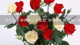 白百合1指弹指什么意思 和马苏1阳指有1拼