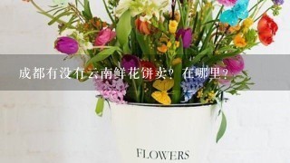 成都有没有云南鲜花饼卖？在哪里？