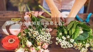 为什么今年的鲜花价格那么高？