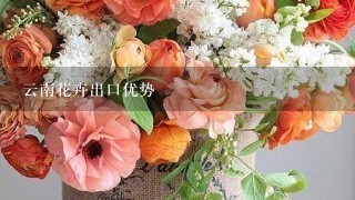 云南花卉出口优势