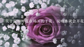 关于昆明鲜花市场买的干花，说喷水就会开花，干了就