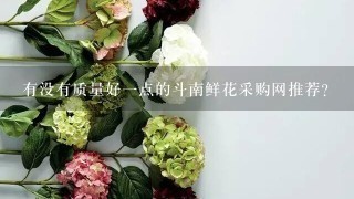 有没有质量好1点的斗南鲜花采购网推荐？