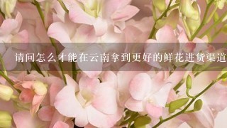 请问怎么才能在云南拿到更好的鲜花进货渠道？