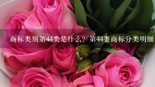 商标类别第44类是什么？第44类商标分类明细包含哪些服务行业？