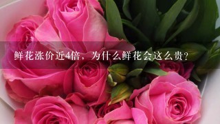 鲜花涨价近4倍，为什么鲜花会这么贵？