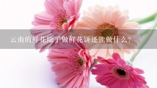 云南的鲜花除了做鲜花饼还能做什么?