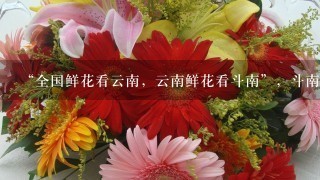 “全国鲜花看云南，云南鲜花看斗南”，斗南花市距昆明市区约18公里，是亚洲最大的鲜花交易市场，也是中国最大的花卉交易市场...