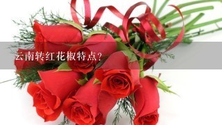 云南转红花椒特点？