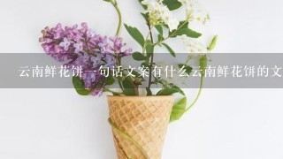 云南鲜花饼1句话文案有什么云南鲜花饼的文案