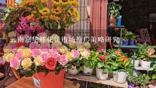 云南嘉华鲜花饼市场推广策略研究