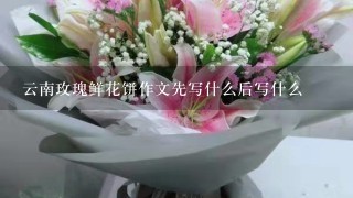 云南玫瑰鲜花饼作文先写什么后写什么