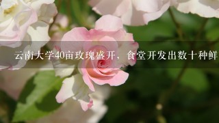 云南大学40亩玫瑰盛开，食堂开发出数十种鲜花美食，