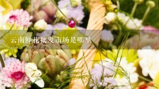 云南鲜花批发市场是哪里