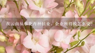 在云南从事花卉种植业，企业所得税怎么交？