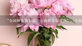 “全国鲜花看云南，云南鲜花看斗南”，斗南花市距昆明市区约18公里，是亚洲最大的鲜花交易市场，也是中国最大的花卉交易市场...