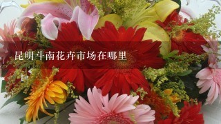 昆明斗南花卉市场在哪里