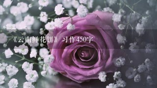 《云南鲜花饼》习作450字