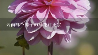 云南哪个牌子的鲜花饼正宗