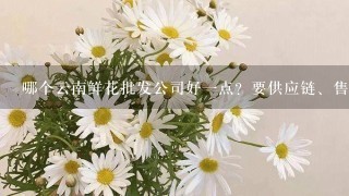 哪个云南鲜花批发公司好1点？要供应链、售后完善1点的