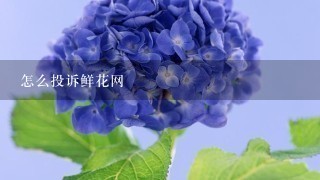 怎么投诉鲜花网