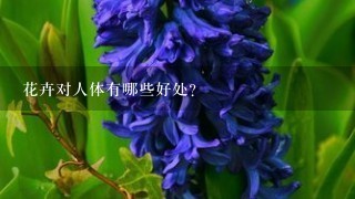 花卉对人体有哪些好处？